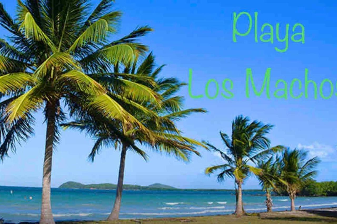 Ocean & Mountains View, Marina, Ferry, Vista Mar, Costa Esmeralda Ceiba ภายนอก รูปภาพ