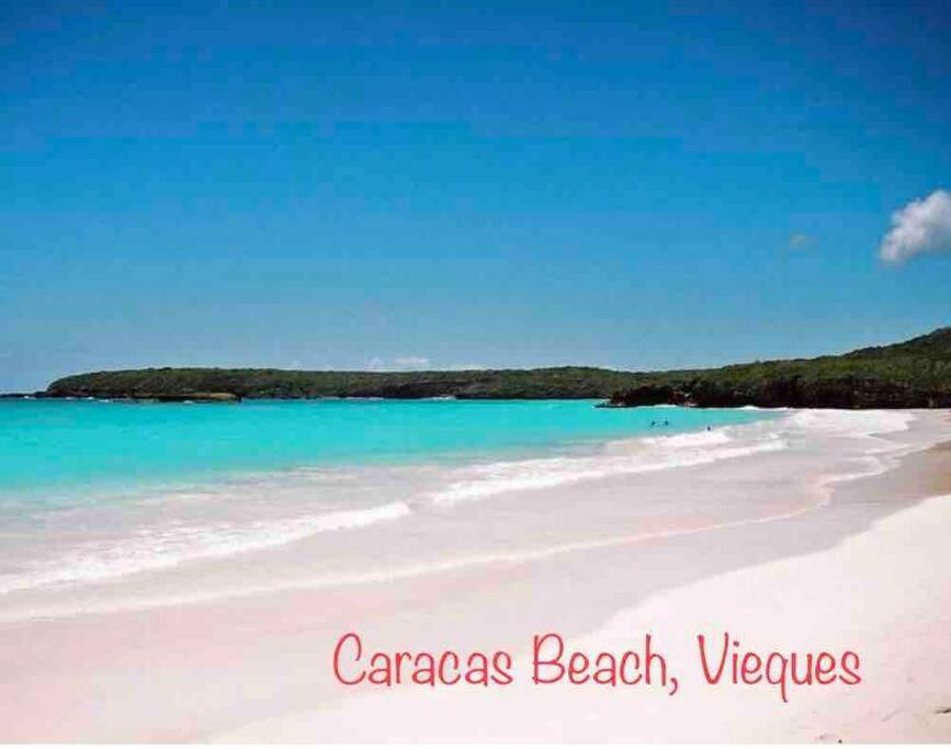 Ocean & Mountains View, Marina, Ferry, Vista Mar, Costa Esmeralda Ceiba ภายนอก รูปภาพ