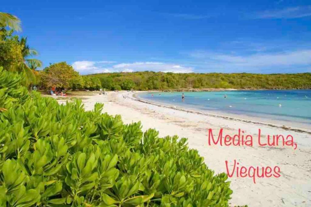 Ocean & Mountains View, Marina, Ferry, Vista Mar, Costa Esmeralda Ceiba ภายนอก รูปภาพ